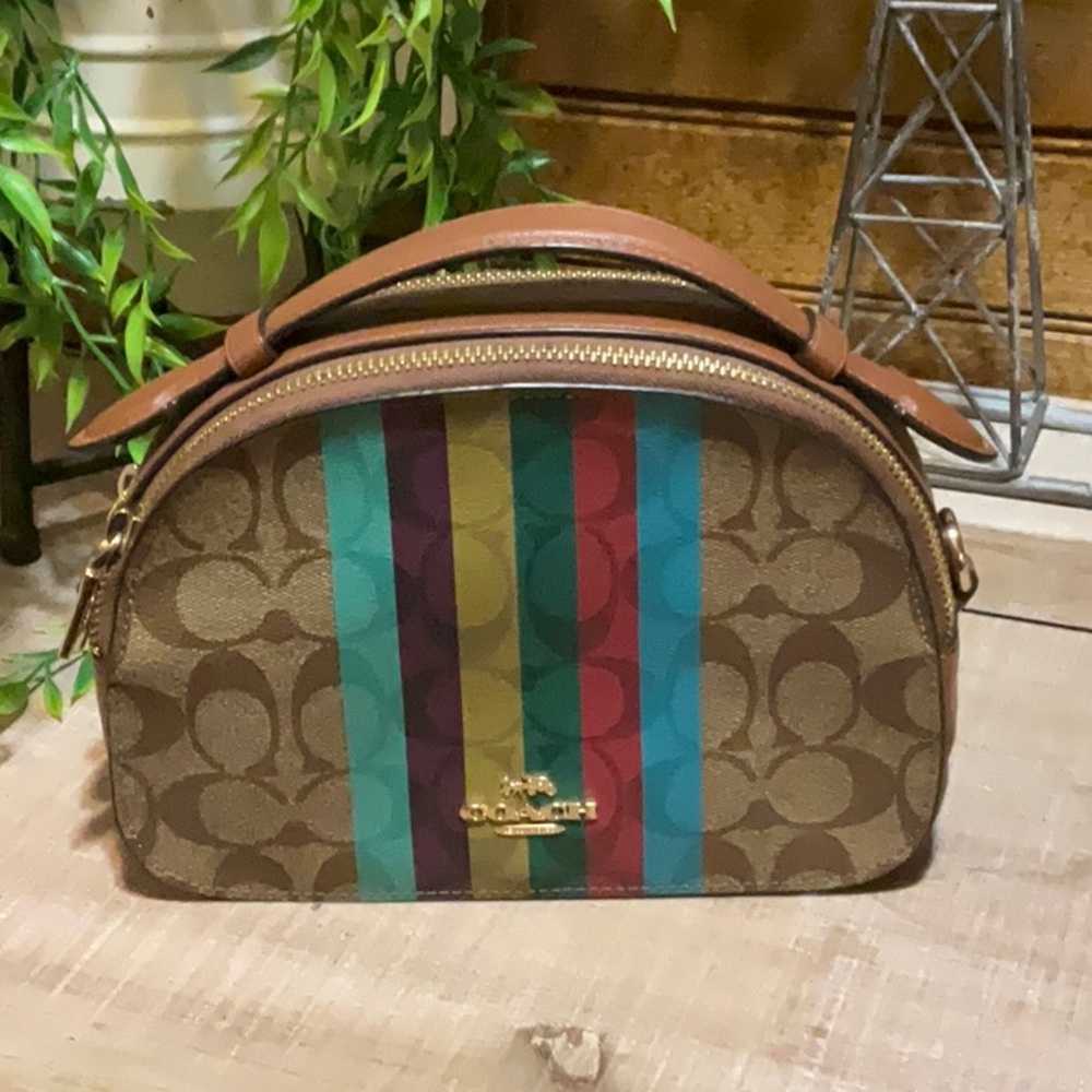 Coach Brown Multicolor Stripe Women's Bag